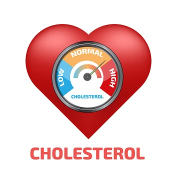 Red heart with a Cholesterol meter in the center of the heart and on the scale the needle is pointing between "normal" and "high".